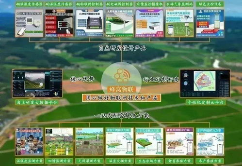 四情監(jiān)測(cè)系統(tǒng)助力三明沙縣智慧茶園科學(xué)管控，提產(chǎn)增效